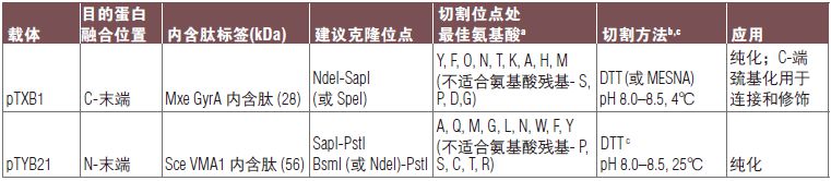 pTYB21 载体                               #N6709S 10 μg