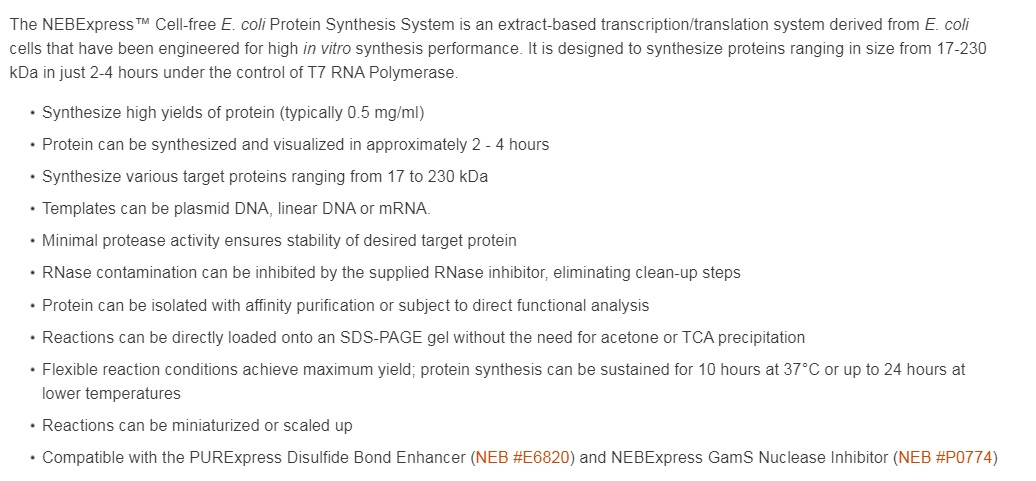 NEBExpress™ Cell-free E. coli Protein Synthesis System                               #E5360L 100 rxns
