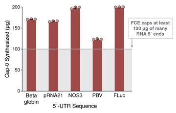 Faustovirus 病毒加帽酶（FCE）                               #M2081L 2500 units