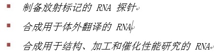 Hi-T7 RNA 聚合酶                                   #M0658S 5,000 units