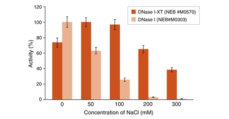 DNase I-XT（耐盐）                                  #M0570L 5,000 units