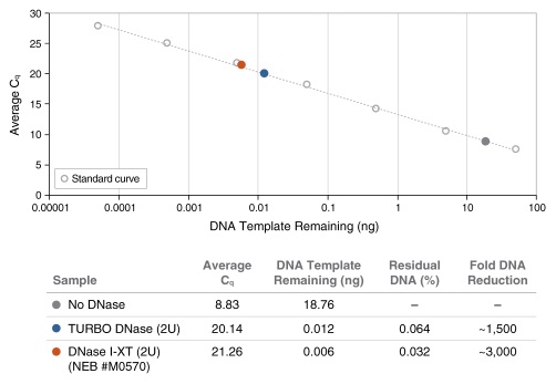 DNase I-XT（耐盐）                                  #M0570L 5,000 units