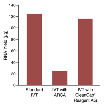 HiScribe™ T7 mRNA 合成试剂盒（含 CleanCap® Reagent AG）                               #E2080S 20 次反应