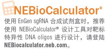 EnGen® sgRNA 合成试剂盒,S. pyogenes #E3322S 20 rxns