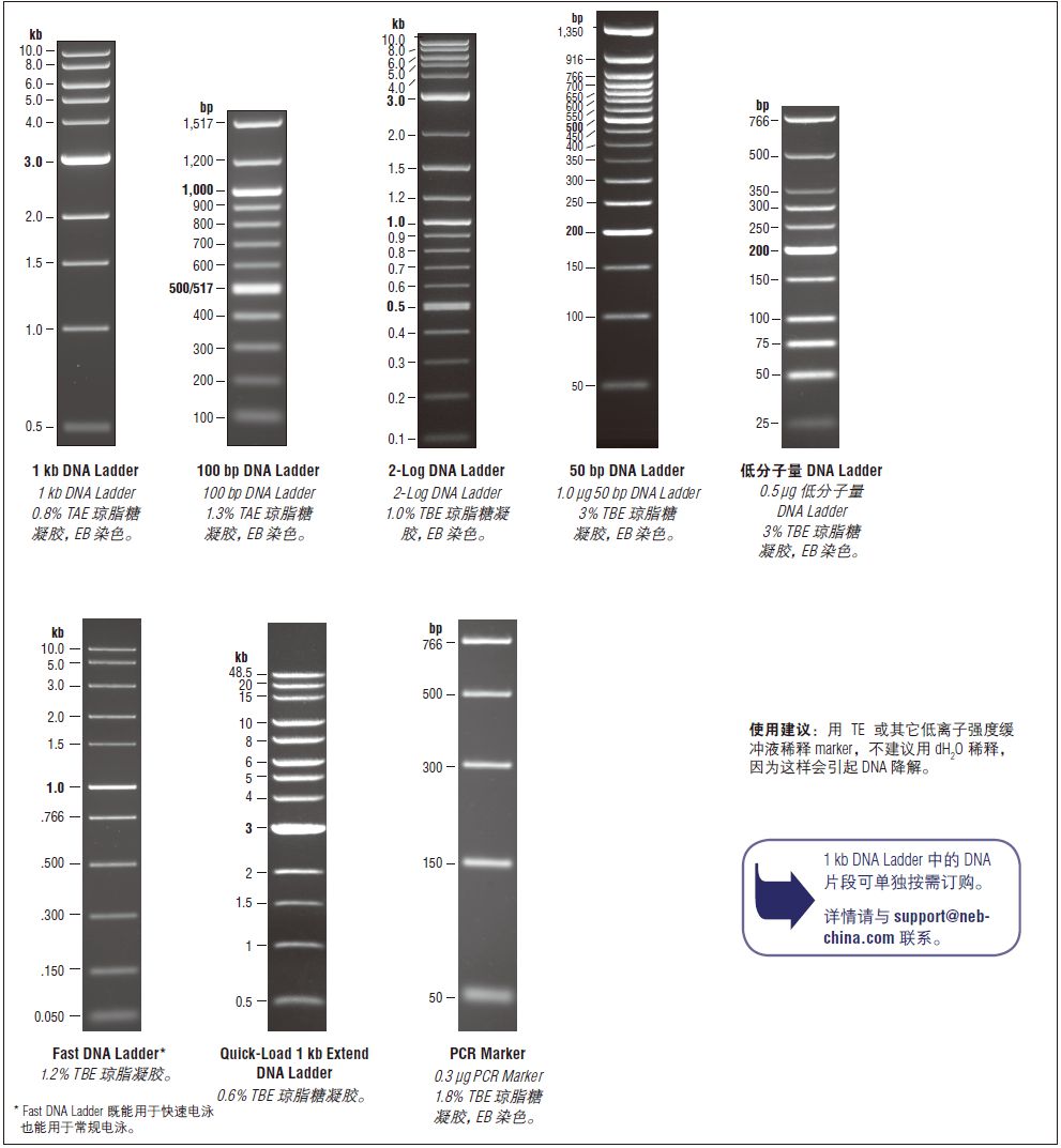 PCR Marker                               #N3234L 500 gel lanes