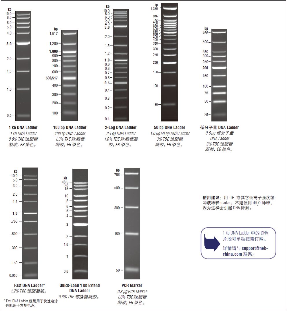 1 kb Plus DNA Ladder                               #N3200L 500–1,000 gel lanes