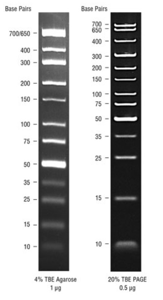 TriDyeTM 低分子量 DNA Ladder                               #N0558S 125-250 gel lanes