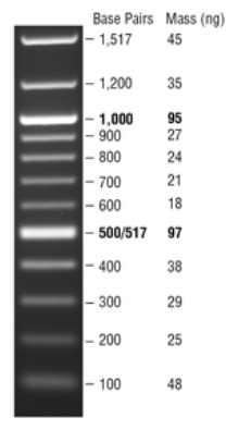 Quick-Load 100 bp DNA Ladder                               #N0467L 375 gel lanes