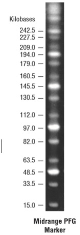 MidRange PFG Marker                               #N0342S 50 gel lanes