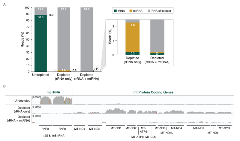 NEBNext®RNA 去除核心试剂 - 含 RNA 纯化磁珠                               #E7870L 24 次反应