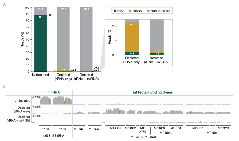 NEBNext®RNA 去除核心试剂 #E7865L 24 次反应