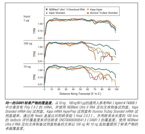 NEBNext Ultra II RNA 文库制备试剂盒 - 含纯化磁珠 #E7775L 96 rxns
