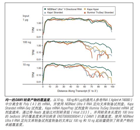 NEBNext Ultra II RNA 文库制备试剂盒 - 含纯化磁珠                               #E7775L 96 rxns