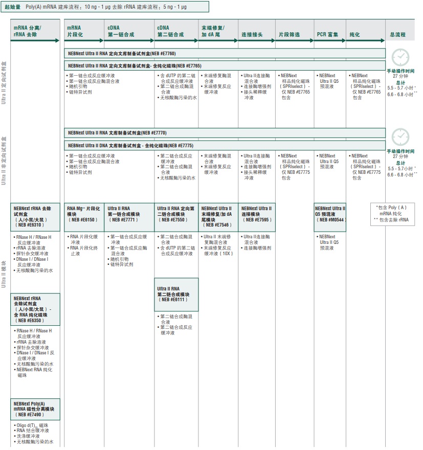 NEBNext Ultra II RNA 文库制备试剂盒 - 含纯化磁珠                               #E7775L 96 rxns