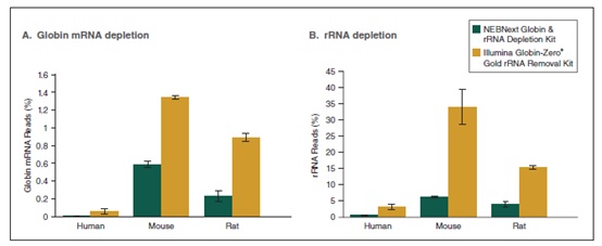 NEBNext Globin & rRNA 去除试剂盒（人/小鼠/大鼠）                               #E7750L 24 次反应