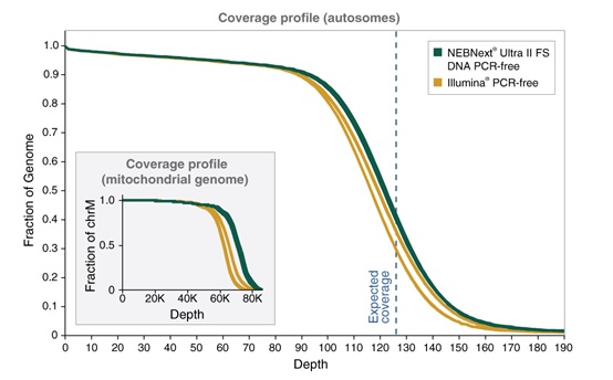 NEBNext® Ultra™ II FS DNA PCR-free 文库制备试剂盒 - 含片段化酶（含纯化磁珠）                               #E7435L 96 次反应