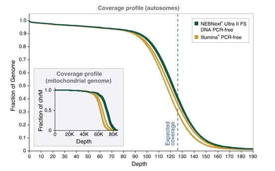 NEBNext® Ultra™ II FS DNA PCR-free 文库制备试剂盒 - 含片段化酶                               #E7430L 96 次反应