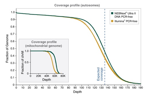 NEBNext® Ultra™ II DNA PCR-free 文库制备试剂盒（含纯化磁珠）                               #E7415L 96 次反应