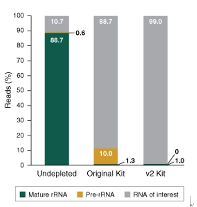 NEBNext® rRNA 去除试剂盒 v2（人/小鼠/大鼠）- 含 RNA 纯化磁珠                               #E7405L 24 次反应