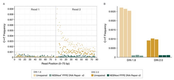 NEBNext®FFPE DNA 修复模块 v2                               #E7360L 96 次反应