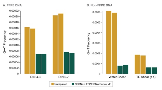 NEBNext®FFPE DNA 修复模块 v2                               #E7360L 96 次反应