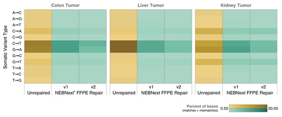 NEBNext®FFPE DNA 修复模块 v2                               #E7360L 96 次反应