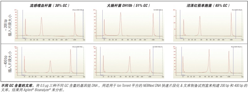 NEBNext DNA 快速文库制备试剂盒 - Ion Torrent                               #E6270L 50 次反应