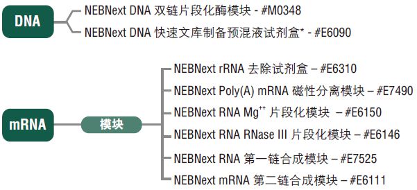 NEBNext DNA 文库制备预混液试剂盒 - 454(停产)                               #E6070L 50 次反应