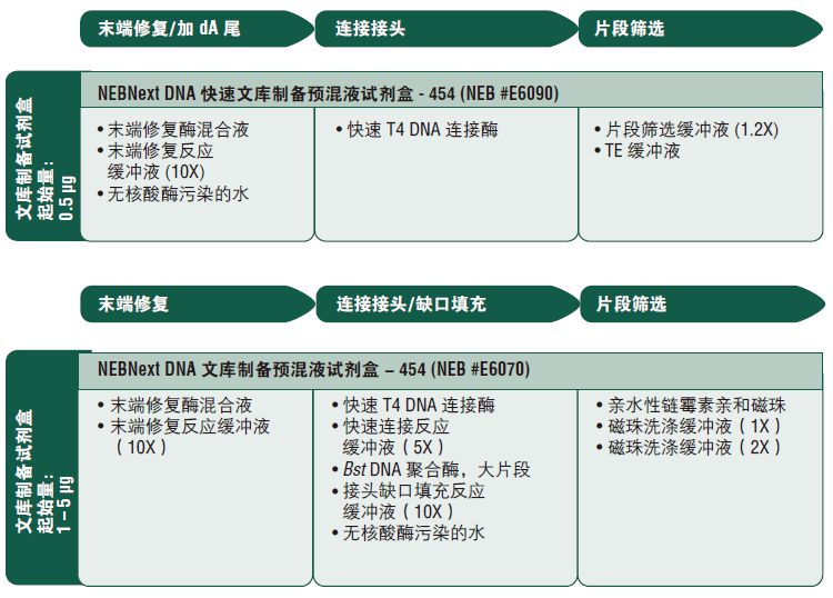 NEBNext DNA 文库制备预混液试剂盒 - 454(停产)                               #E6070L 50 次反应