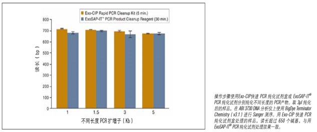 Exo-CIP™ 快速 PCR 纯化试剂盒                               #E1050L 400 reactions