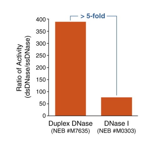 双链特异性 DNase                               #M7635L 750 units