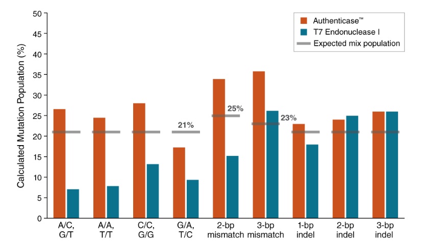 Authenticase® 切割错配核酸酶                               #M0689L 125 reactions