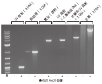 PreCR® 修复混合液                                  #M0309L 150 次反应