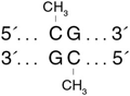 CpG 甲基转移酶 (M.SssI)                                   #M0226L 500 units