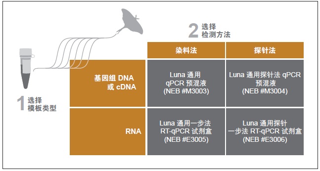 Luna® 通用探针法 qPCR 预混液                                    #M3004E 2500次反应