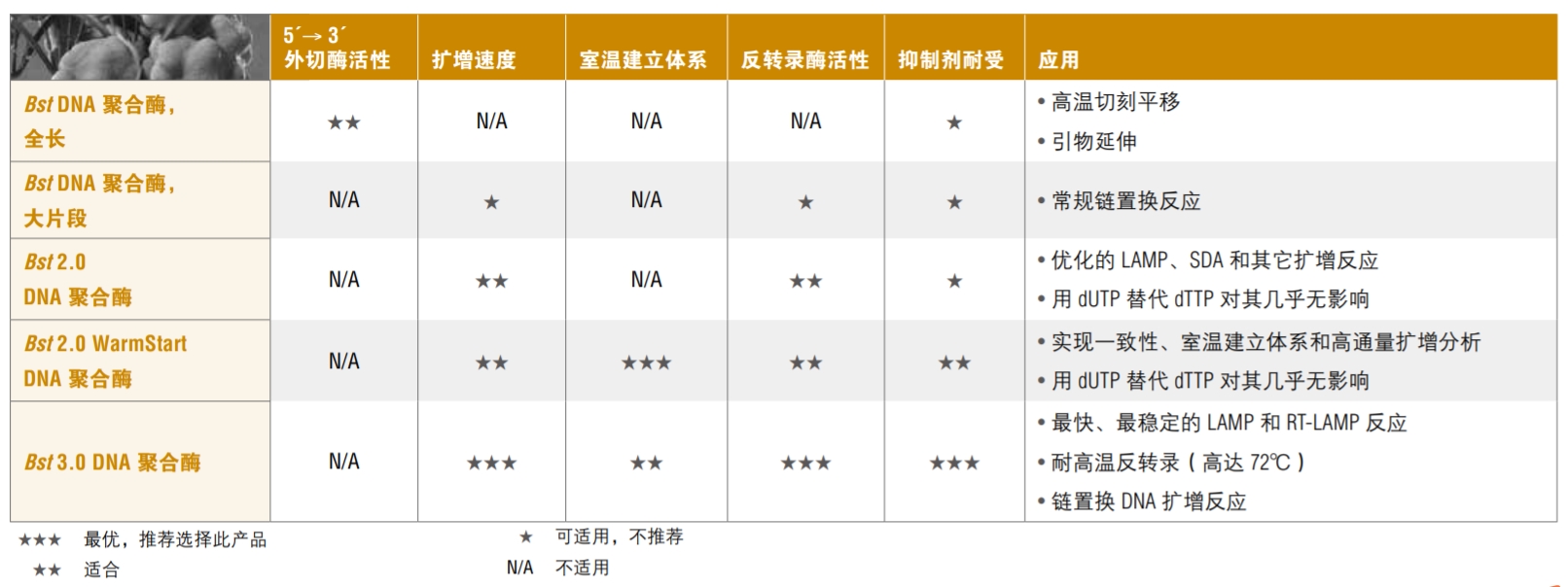 Bst 2.0 WarmStart® DNA 聚合酶                                     #M0538L 8,000 units