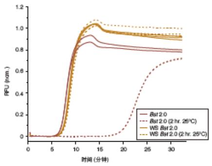 Bst 2.0 WarmStart® DNA 聚合酶                                     #M0538L 8,000 units