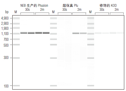 Phusion® 超保真 PCR 预混液（提供 GC 缓冲液）                                    #M0532L 500 次反应 (50 μl 反应体系)