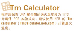 Phusion® 超保真 PCR 预混液（提供 GC 缓冲液）                                    #M0532L 500 次反应 (50 μl 反应体系)