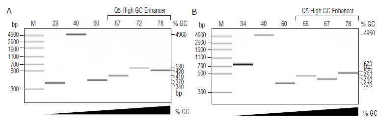 Q5® 热启动超保真 2X 预混液                                      #M0494L 500 次（50 μl 体系）