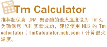 Q5®  热启动超保真 DNA 聚合酶                                      #M0493L 500 units