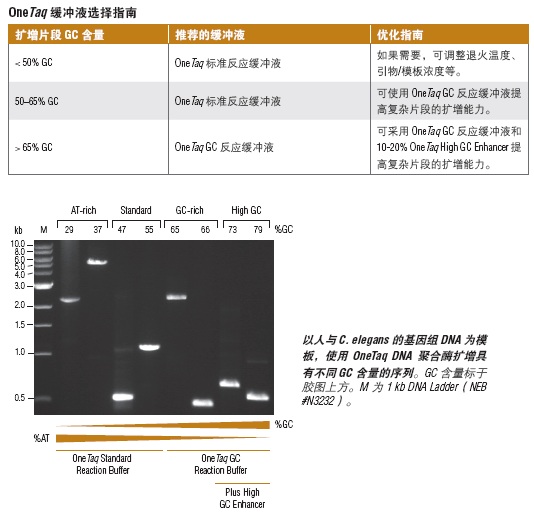 OneTaq® 热启动 Quick-Load® 2X 预混液（提供标准缓冲液）                                     #M0488L 500 次反应（50 μl 反应体系）