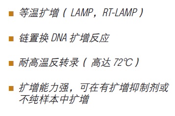 Bst 3.0 DNA 聚合酶                                    #M0374L 8,000 units