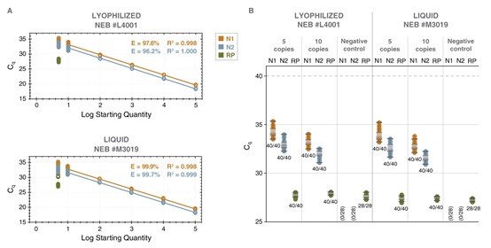 LyoPrime Luna™ 探针一步法 RT-qPCR 预混冻干粉（含 UDG）                               #L4001P 96 reactions