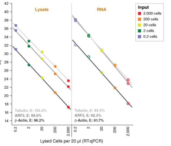 Luna® Cell Ready 探针一步法 RT-qPCR 试剂盒                               #E3031S 100 rxns