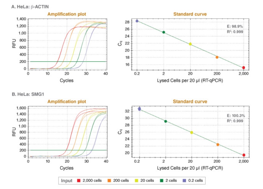 Luna® Cell Ready 一步法 RT-qPCR 试剂盒                               #E3030S 100 rxns