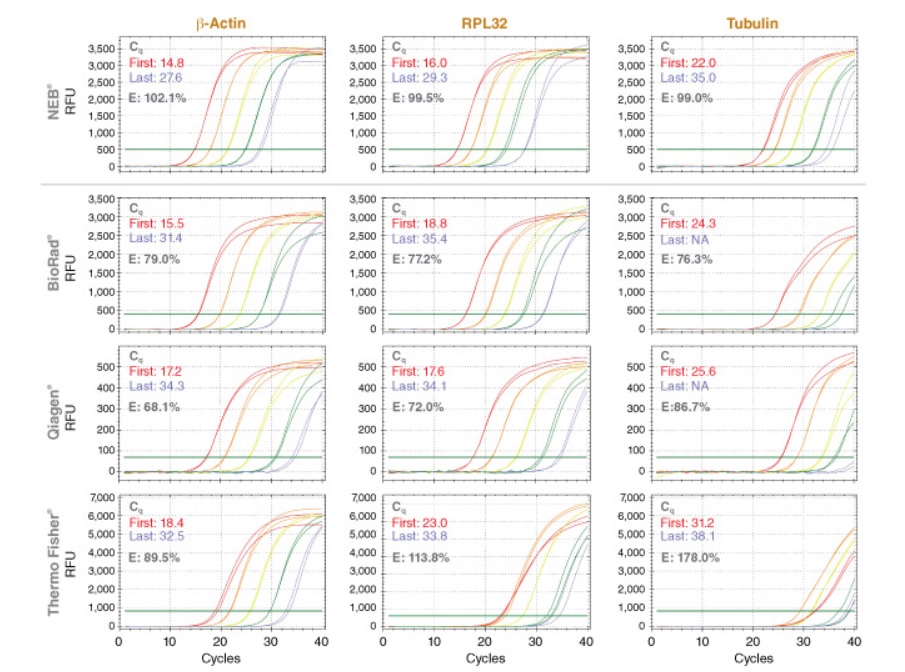 Luna® Cell Ready 一步法 RT-qPCR 试剂盒                               #E3030S 100 rxns