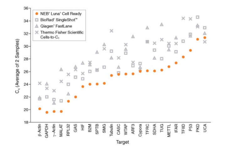 Luna® Cell Ready 一步法 RT-qPCR 试剂盒                               #E3030S 100 rxns