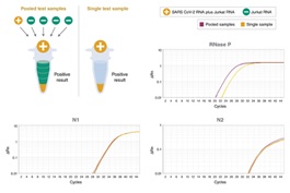 Luna® SARS-CoV-2 多重 RT-qPCR 检测试剂盒                               #E3019L 480 rnxs