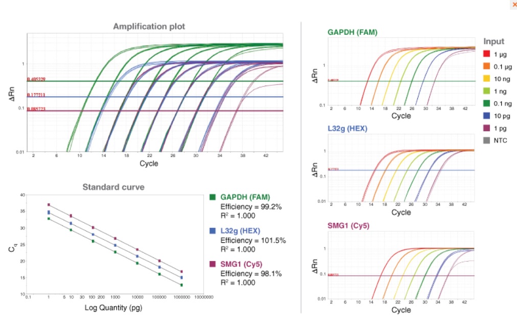 Luna® 探针一步法 RT-qPCR 试剂盒（无 ROX）                               #E3007E 2,500 rxns